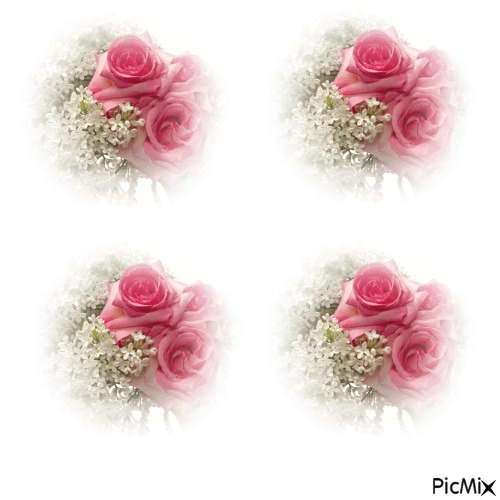 Fiore 🌺 - Free PNG
