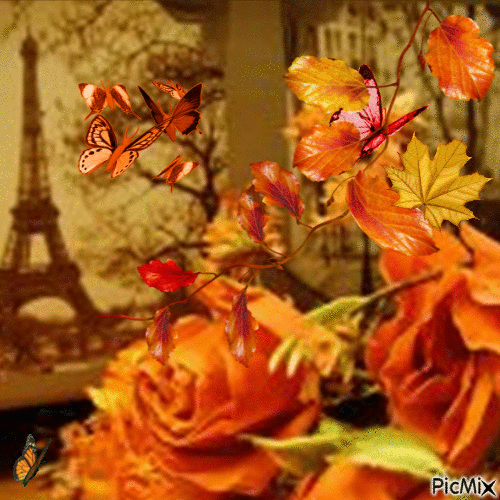 bouquet d'automne - GIF animé gratuit
