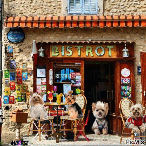 le bistrot - Free animated GIF