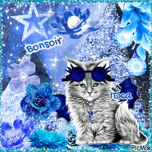 Bonsoir les chatons - 無料のアニメーション GIF