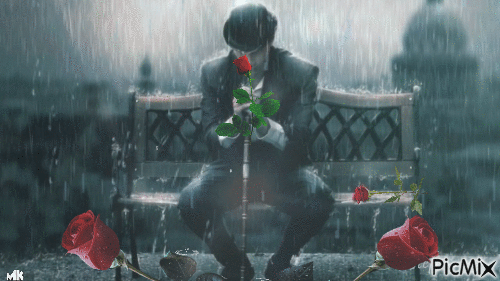 Rosas que se ahogan - GIF animado gratis