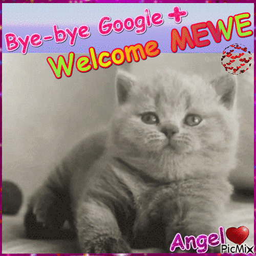 BYE BYE GOOGLE+ - Безплатен анимиран GIF