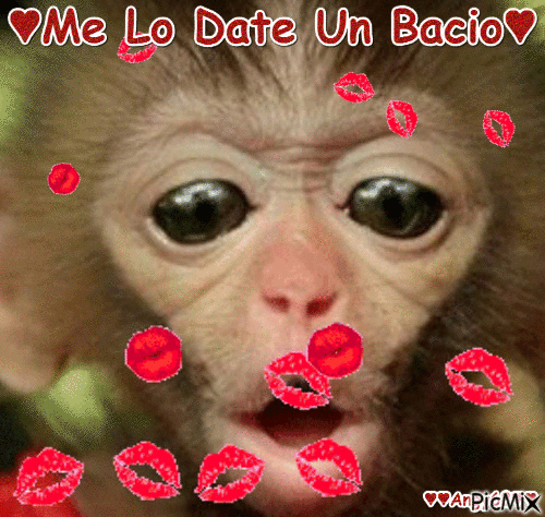 bacio bacio - 無料のアニメーション GIF