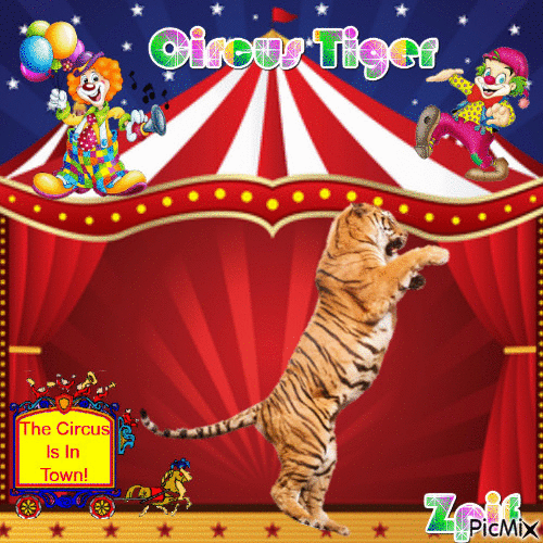 circus tiger - GIF animé gratuit