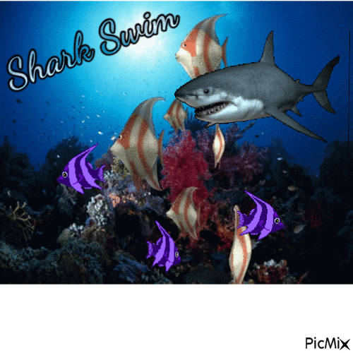 shark - Безплатен анимиран GIF