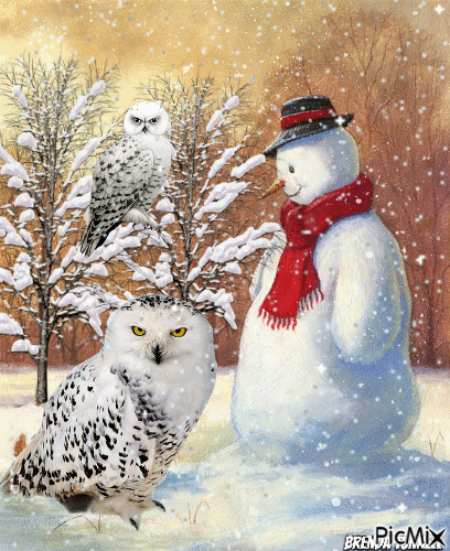 winter owl - Besplatni animirani GIF
