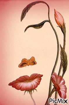 Flower woman - Darmowy animowany GIF