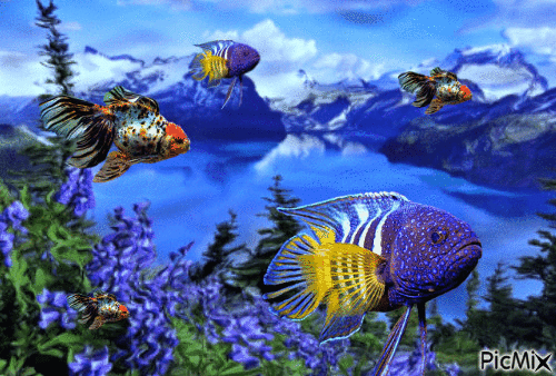 aquario - Nemokamas animacinis gif
