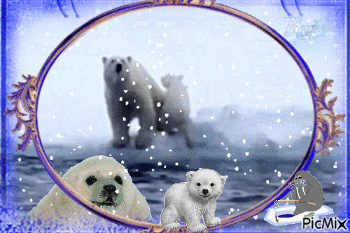 polar bear/seal - GIF animé gratuit