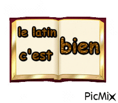 le latin c bien - Δωρεάν κινούμενο GIF