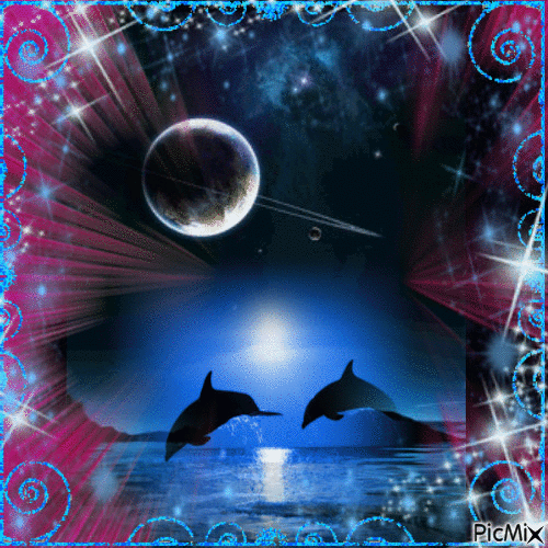 Dolphin night - Gratis geanimeerde GIF