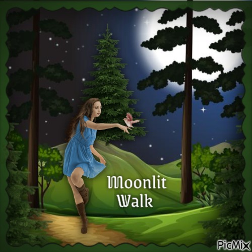 Walk in the Woods - Free PNG