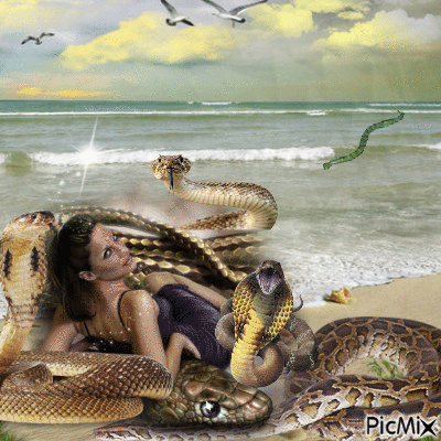 snakes on a beach - GIF animé gratuit