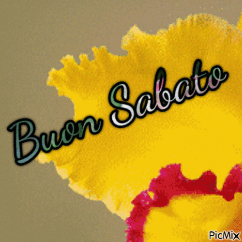 Sabato - Bezmaksas animēts GIF