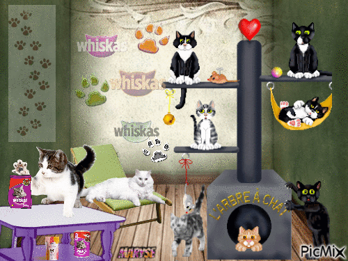 au plaisir des chats - Animovaný GIF zadarmo