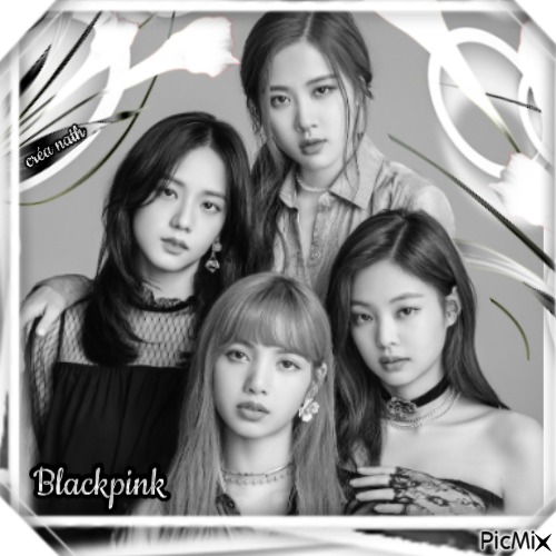 Blackpink...concours - zadarmo png