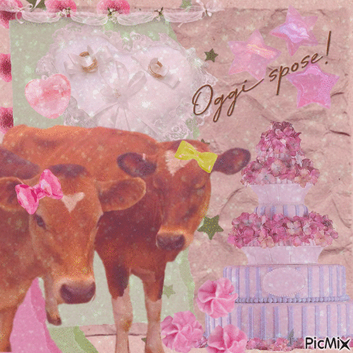 Cow Wedding - Free animated GIF