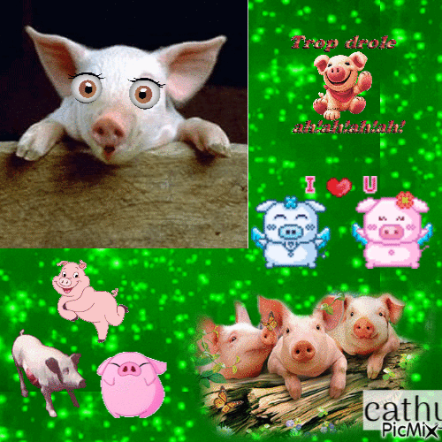 les cochons - Ingyenes animált GIF