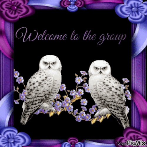 welcome owl - Ilmainen animoitu GIF