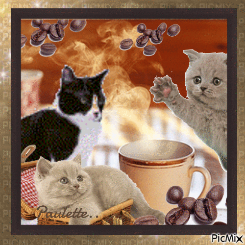 café et chats - Gratis geanimeerde GIF