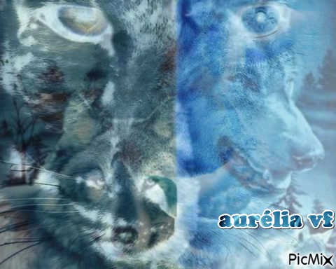 loup puma panthere - Free PNG