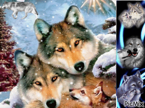Loups - Darmowy animowany GIF