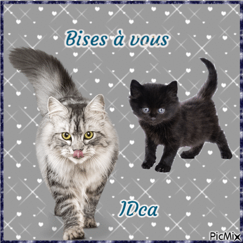 Bisous les chatons i - 免费动画 GIF