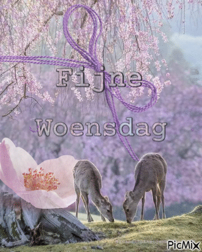 Fijne Woensdag - 免费动画 GIF