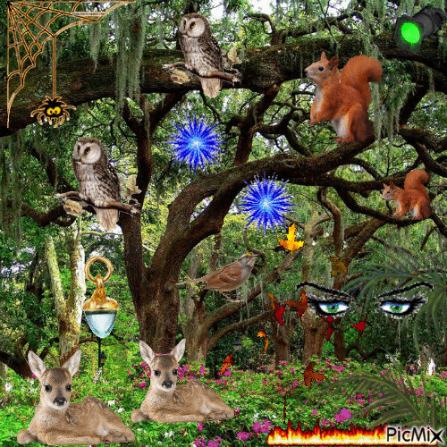 Bosque de fantasía - Animovaný GIF zadarmo