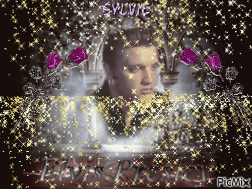 Elvis Presley ma création a partager sylvie - Безплатен анимиран GIF