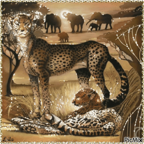African animals - Gratis geanimeerde GIF