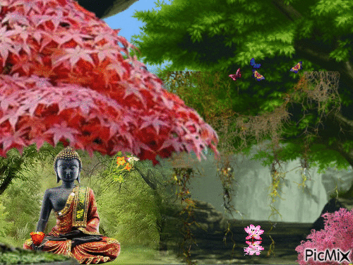 Zen - Darmowy animowany GIF