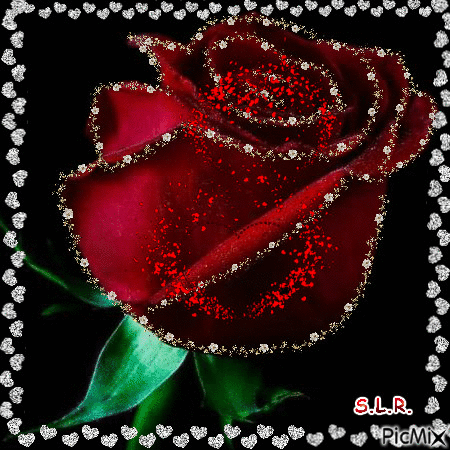 Love rose - Бесплатный анимированный гифка