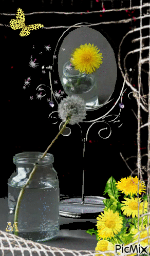 Still life with dandelions - Gratis geanimeerde GIF