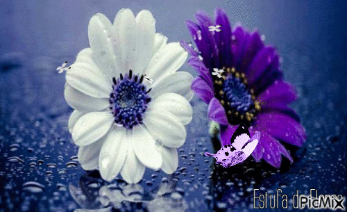 Flores 🌸🌸 - Gratis animerad GIF