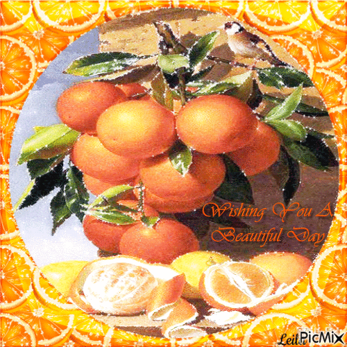 Oranges. Wishing you a Beautiful Day - Бесплатни анимирани ГИФ