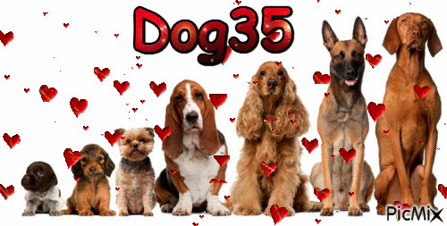 Dog35 - Bezmaksas animēts GIF