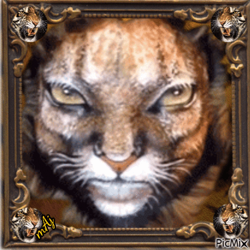 Concours "Femme au visage de tigre" - Бесплатный анимированный гифка