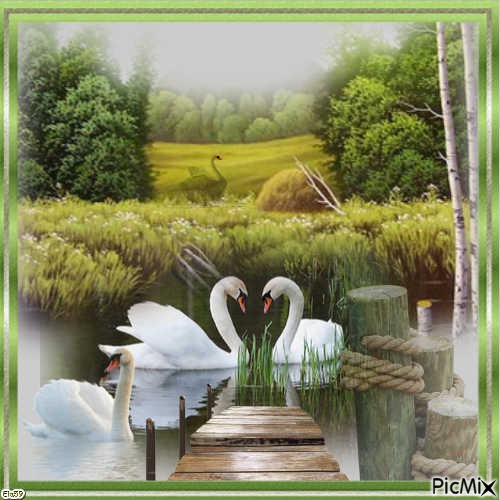 Swans - δωρεάν png