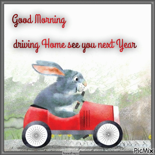 Driving Home--Bunny - Бесплатный анимированный гифка