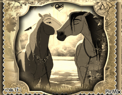cavalli innamorati - GIF animado grátis