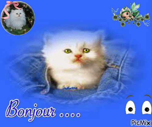 chaton sur fond bleu - Бесплатни анимирани ГИФ