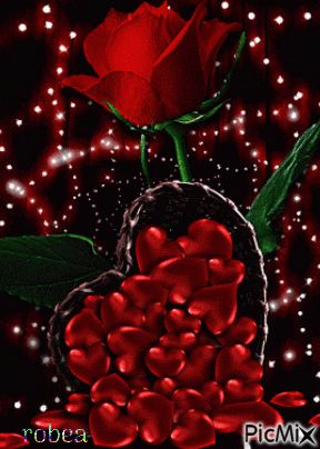 les roses sont pour vous - GIF animate gratis