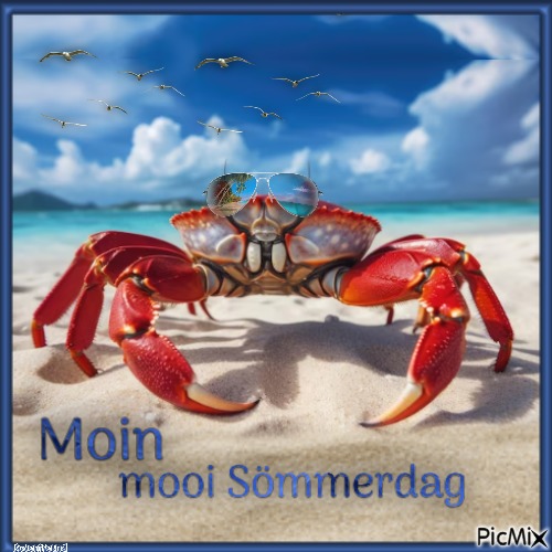 Moin mooi Sömmerdag - Free PNG