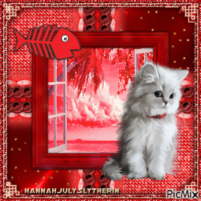 {Persian Kitty in Red} - Free animated GIF