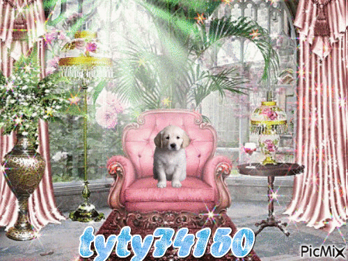 chien royal - GIF animado gratis