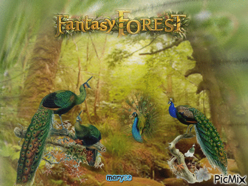 forest - Zdarma animovaný GIF