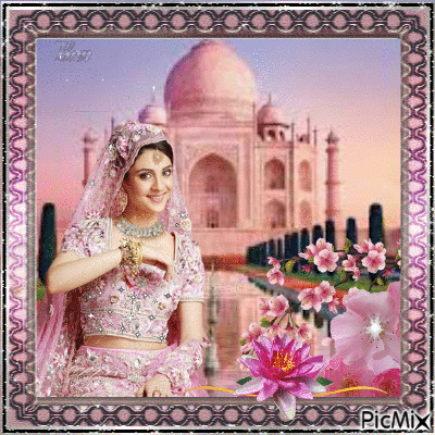 Taj Mahal colour pink - GIF animado grátis