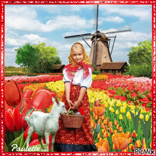 les tulipes - GIF animasi gratis