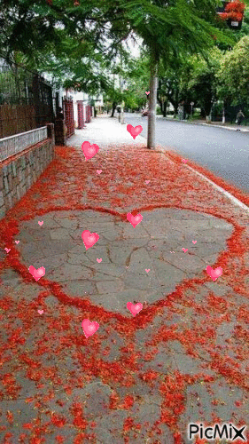 la strada del cuore - Ingyenes animált GIF
